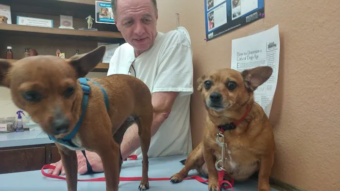 Windsor Park Veterinary Clinic Picture 2