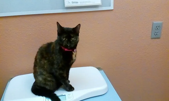 Windsor Park Veterinary Clinic Picture 6