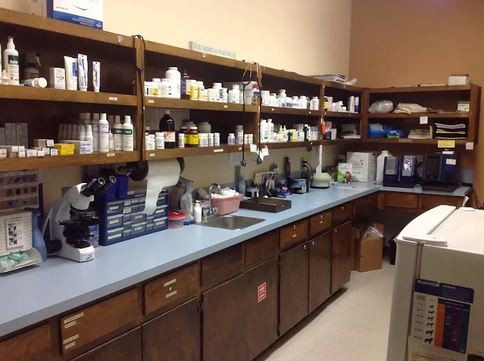 Windsor Park Veterinary Clinic Picture 7