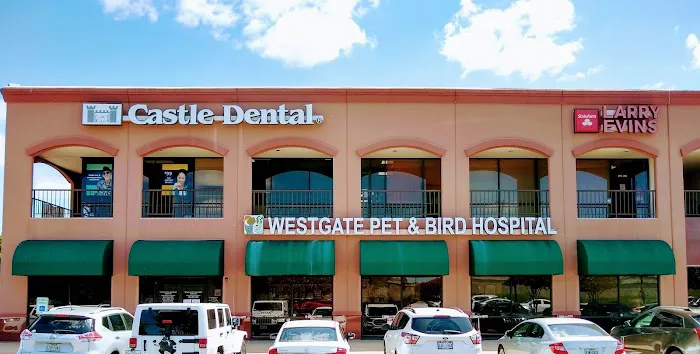 Westgate Pet & Bird Hospital Picture 4