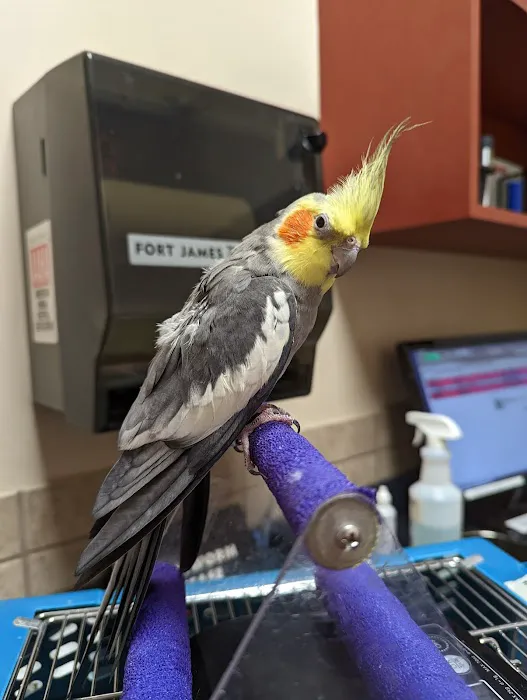 Westgate Pet & Bird Hospital Picture 9