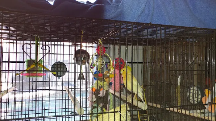 Westgate Pet & Bird Hospital Picture 6