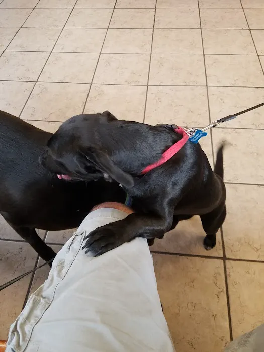 Westgate Pet & Bird Hospital Picture 7