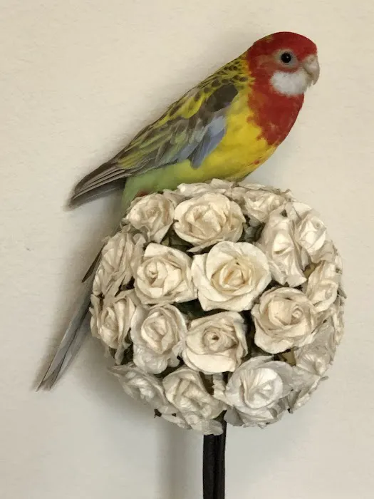 Westgate Pet & Bird Hospital Picture 10