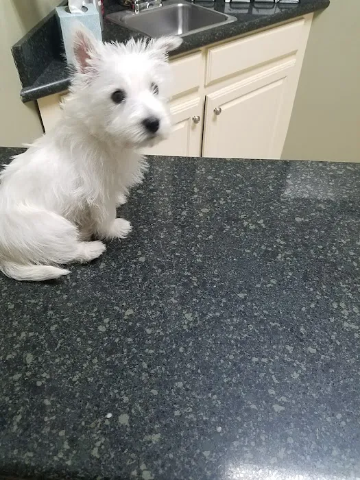Hill Country Animal Hospital Picture 9