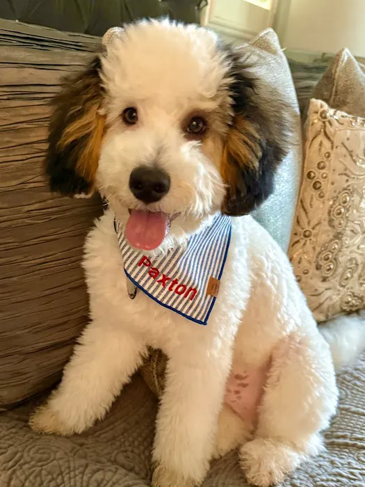Hill Country Animal Hospital Picture 10