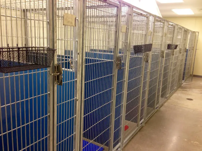 Firehouse Animal Health Center Westlake Picture 9