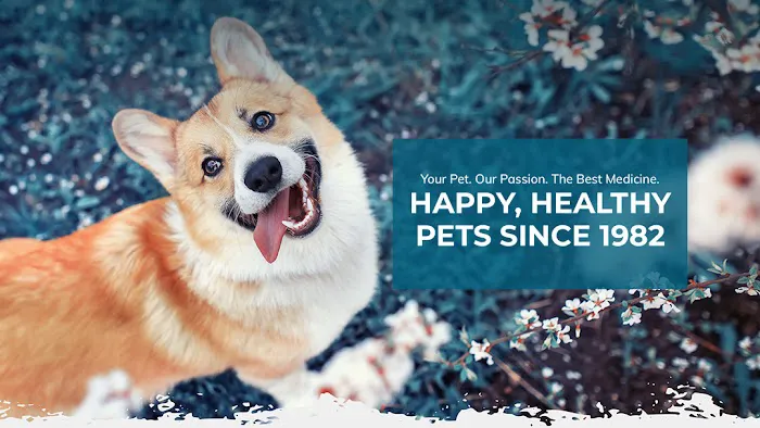 Century Animal Hospital Picture 2