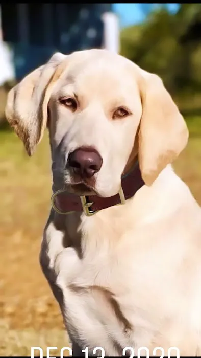 Century Animal Hospital Picture 7
