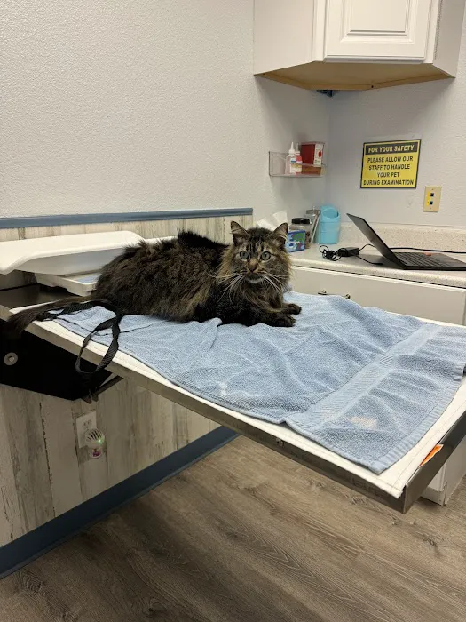 Century Animal Hospital Picture 8