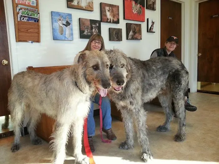 Manchaca Road Animal Hospital Picture 1
