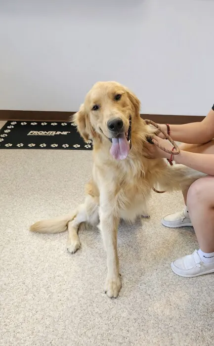 Polo Road Animal Hospital Picture 5