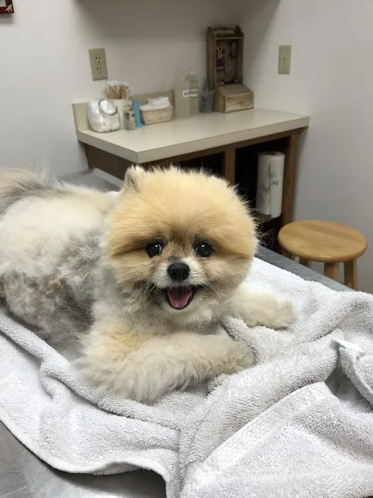 Polo Road Animal Hospital Picture 4