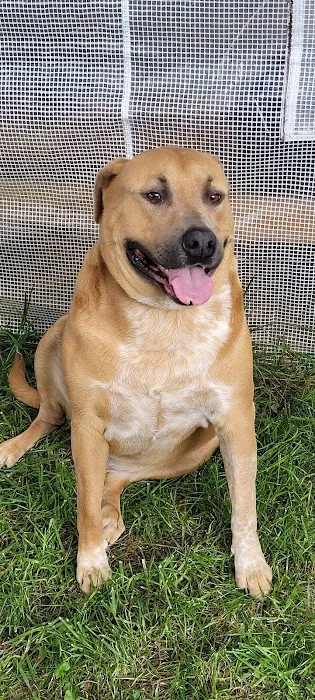 Polo Road Animal Hospital Picture 8