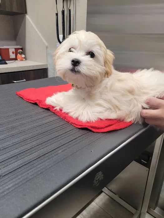 Gully Animal Hospital | Grand Prairie Picture 3