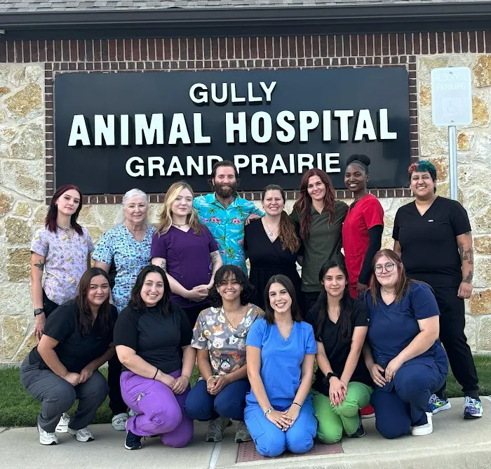 Gully Animal Hospital | Grand Prairie Picture 1