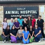 Gully Animal Hospital | Grand Prairie