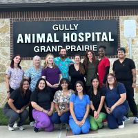 Gully Animal Hospital | Grand Prairie ico