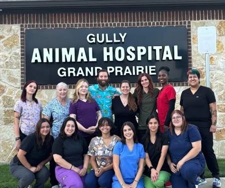 Gully Animal Hospital | Grand Prairie