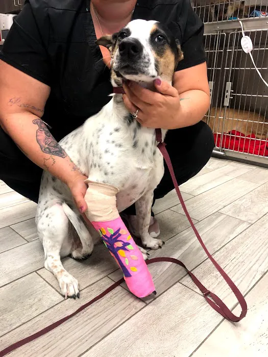 Gully Animal Hospital | Grand Prairie Picture 5