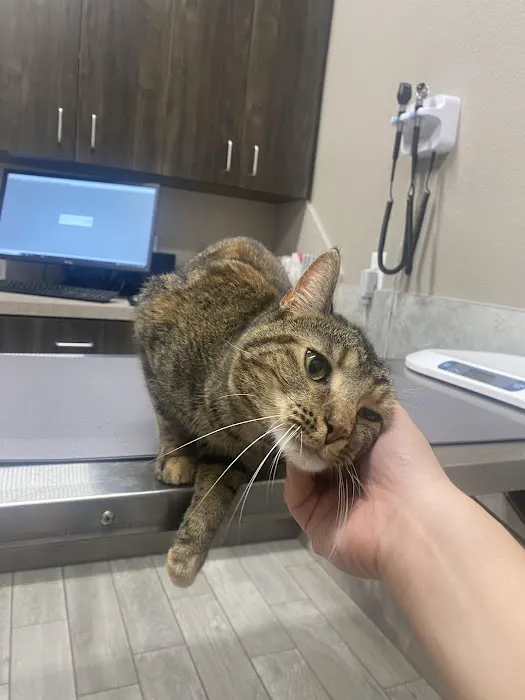 Gully Animal Hospital | Grand Prairie Picture 4