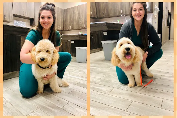 Gully Animal Hospital | Grand Prairie Picture 7
