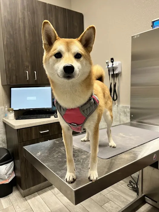 Gully Animal Hospital | Grand Prairie Picture 8