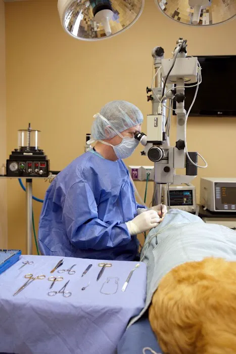 Animal Eye Clinic Picture 2