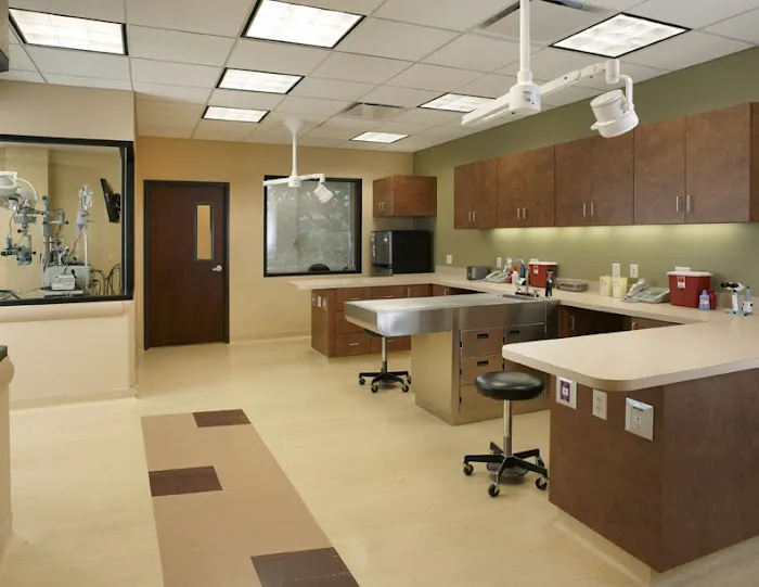 Animal Eye Clinic Picture 6