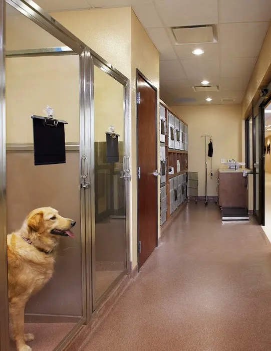 Animal Eye Clinic Picture 4