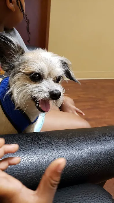 Animal Eye Clinic Picture 8