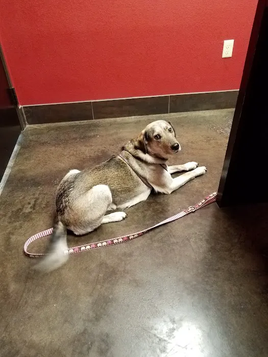Richter Animal Hospital Picture 3