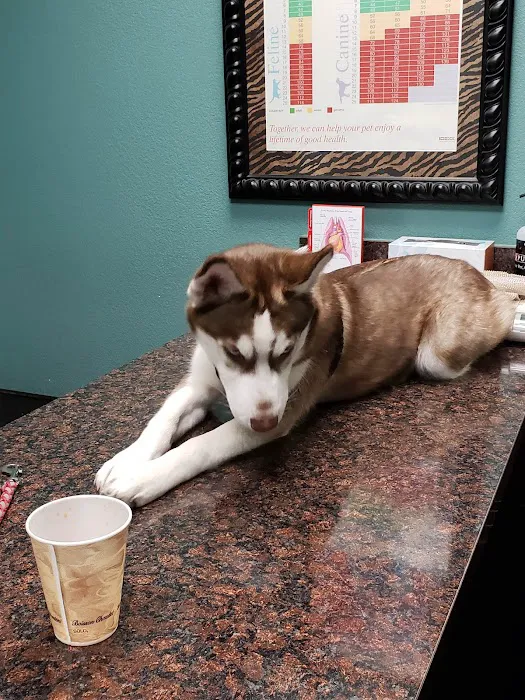 Richter Animal Hospital Picture 8