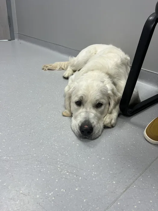 Richter Animal Hospital Picture 6