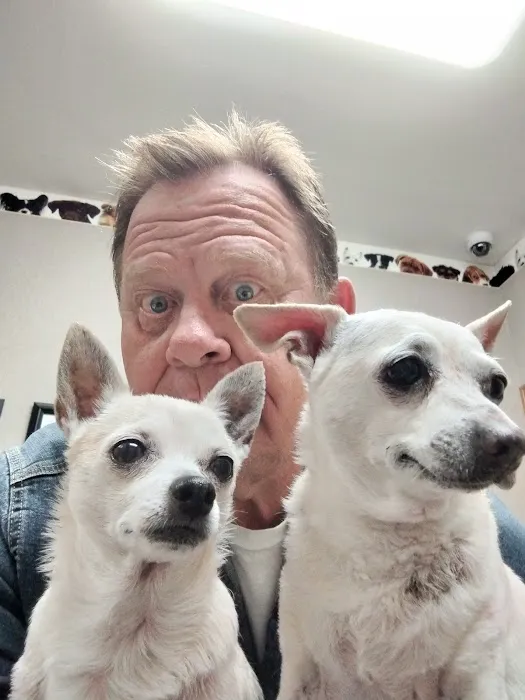 Gully Animal Hospital Picture 1