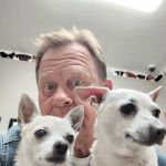 Gully Animal Hospital
