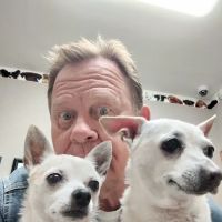 Gully Animal Hospital ico