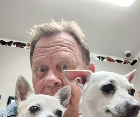 Gully Animal Hospital