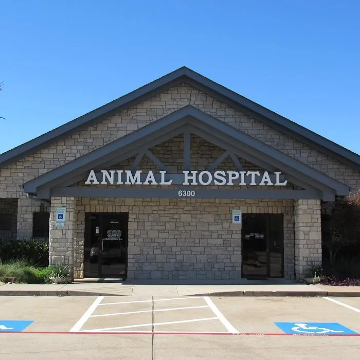 Gully Animal Hospital Picture 2