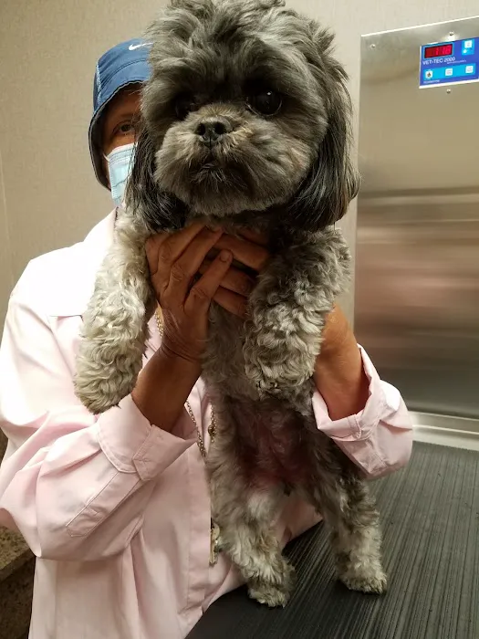 Gully Animal Hospital Picture 5