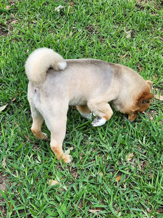 Gully Animal Hospital Picture 7