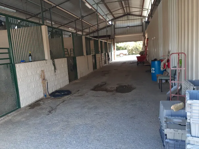 Lone Star Park Equine Hospital Picture 2