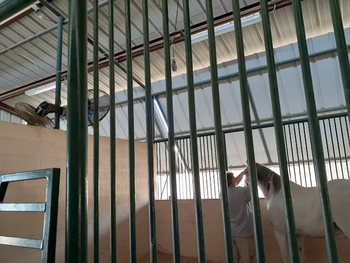 Lone Star Park Equine Hospital Picture 6