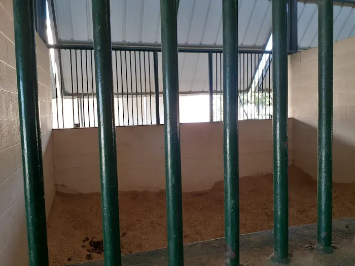 Lone Star Park Equine Hospital Picture 7