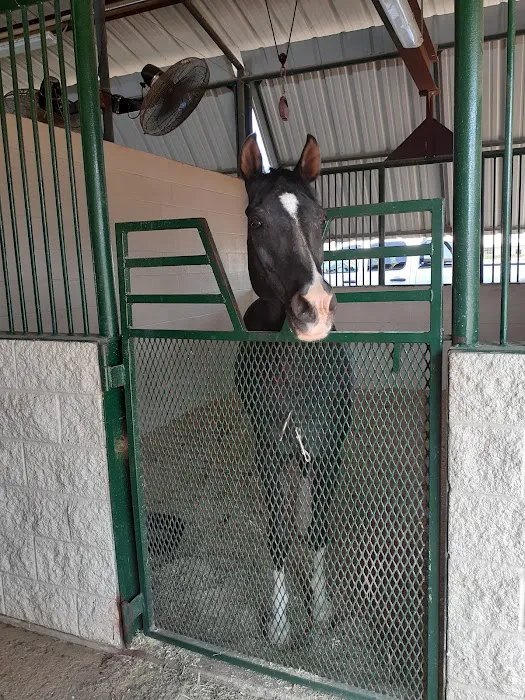Lone Star Park Equine Hospital Picture 10