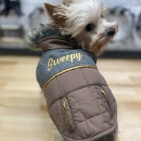 Shady Grove Animal Hospital ico