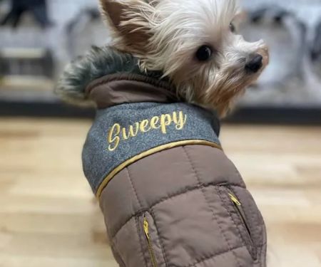 Shady Grove Animal Hospital