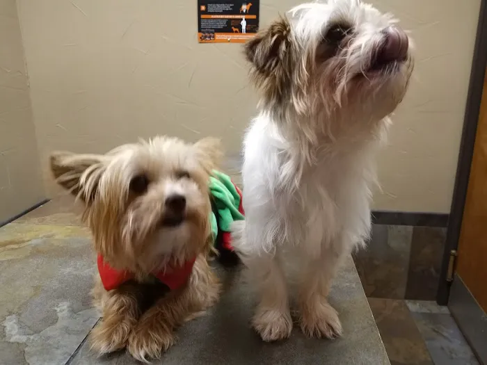 Shady Grove Animal Hospital Picture 3