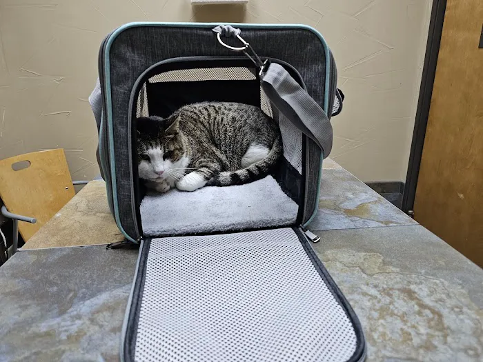 Shady Grove Animal Hospital Picture 2