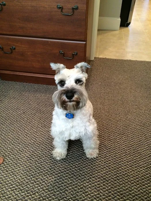 Shady Grove Animal Hospital Picture 8